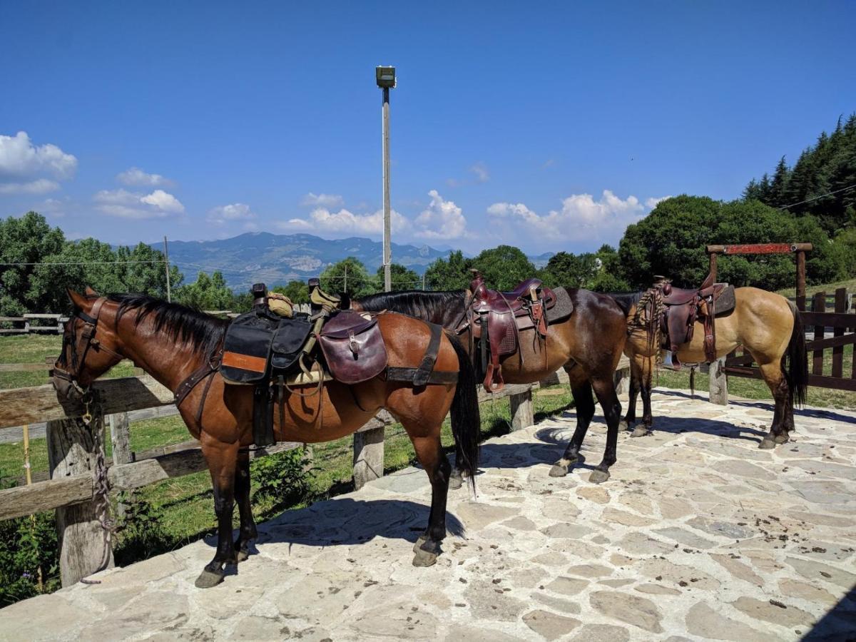 Hotel Капракотта Экстерьер фото